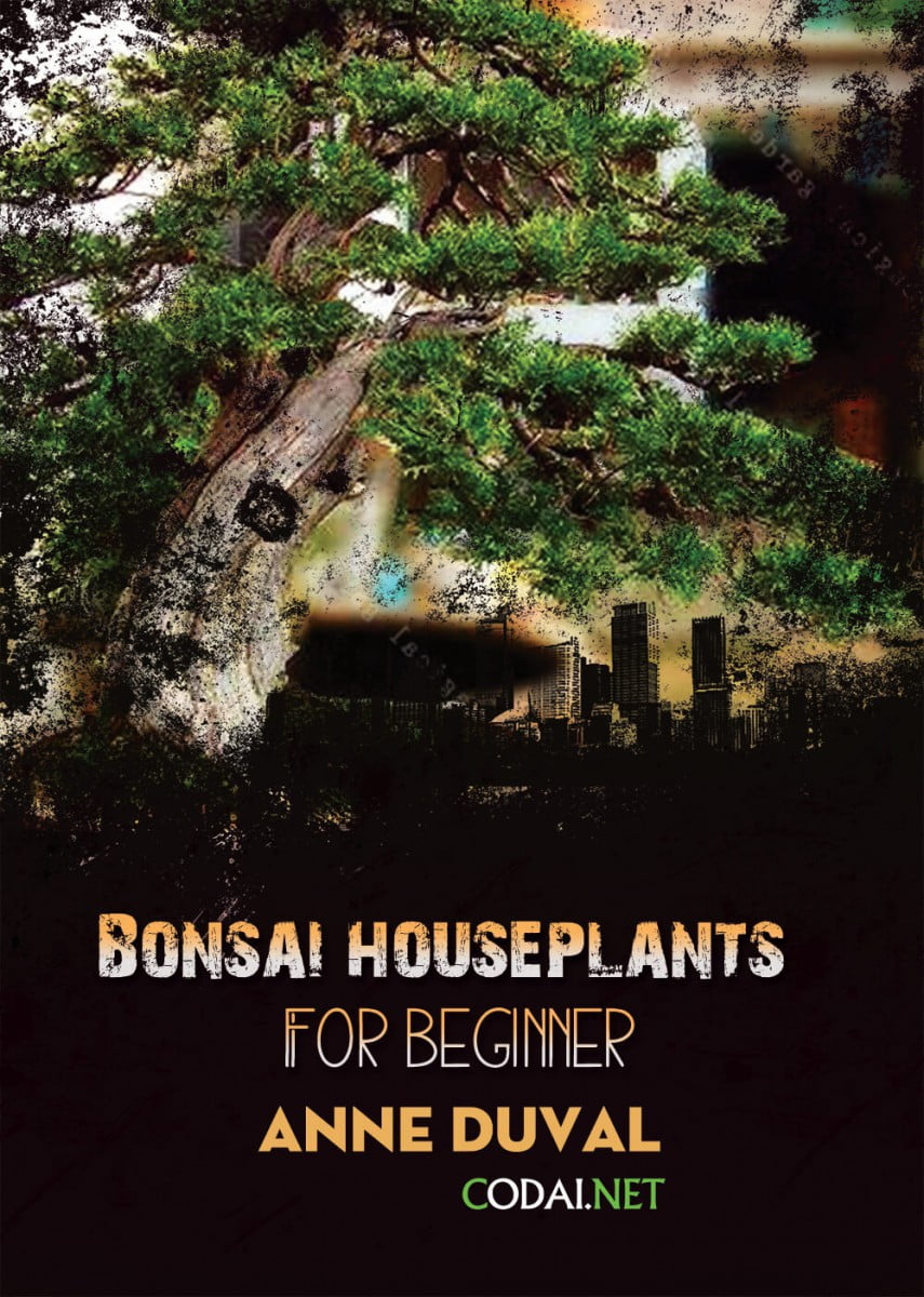 [Ebook Việt Hoá] BONSAI and HOUSEPLANTS for Beginners  – Anne Duval – Bonsai Longevity (Tuổi đời của Bonsai)