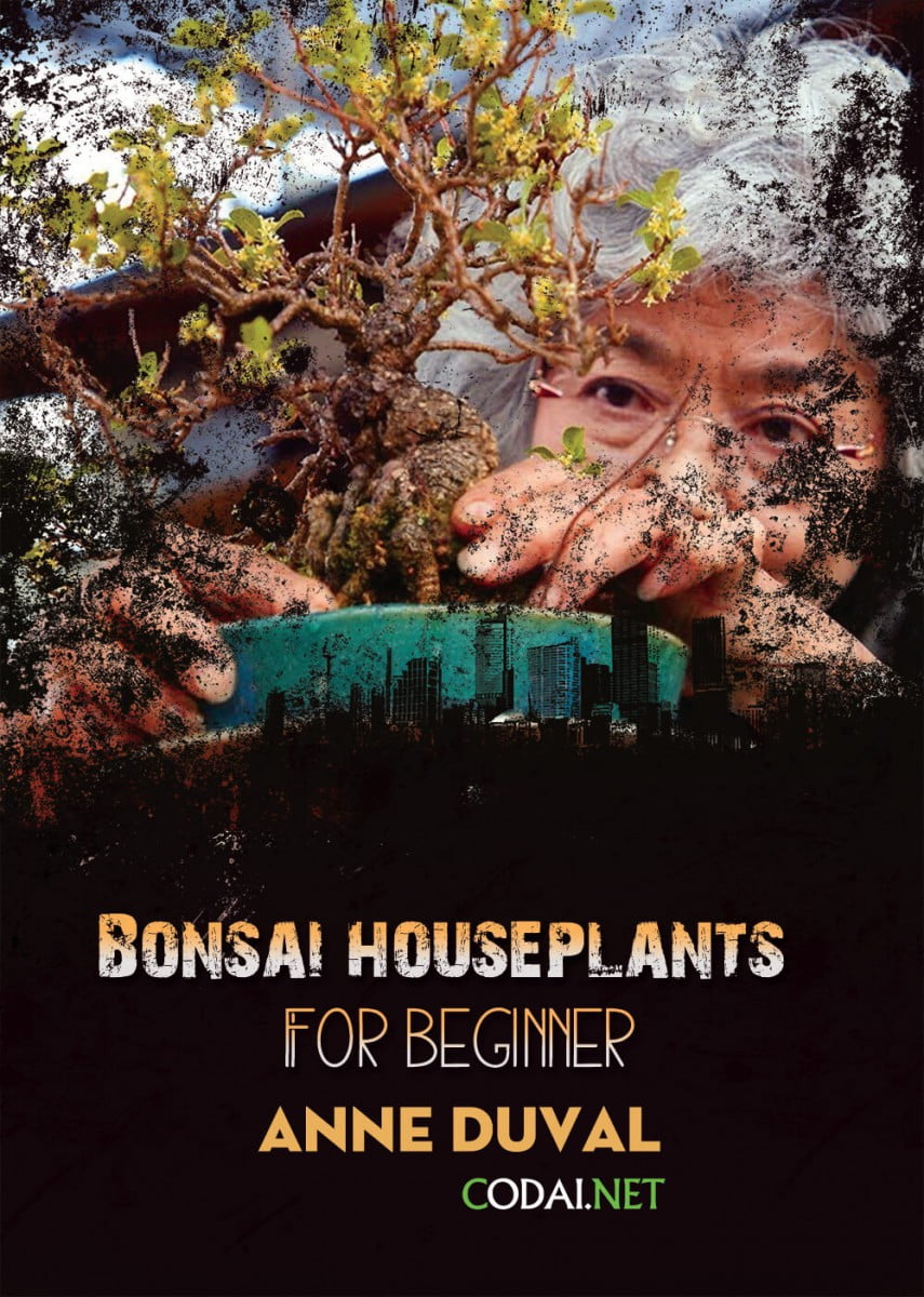 [Ebook Việt Hoá] BONSAI and HOUSEPLANTS for Beginners  – Anne Duval – How to Start a Bonsai Business (Cách bắt đầu kinh doanh Bonsai)