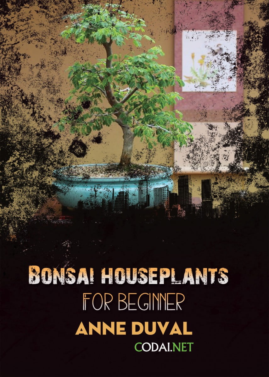 [Ebook Việt Hoá] BONSAI and HOUSEPLANTS for Beginners  – Anne Duval – Conclusion (Kết luận)