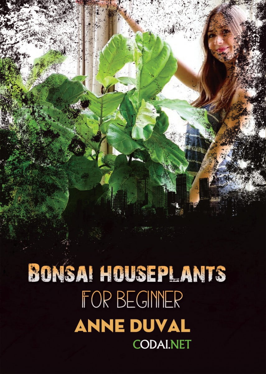 [Ebook Việt Hoá] BONSAI and HOUSEPLANTS for Beginners  – Anne Duval – Introduction (Giới thiệu)