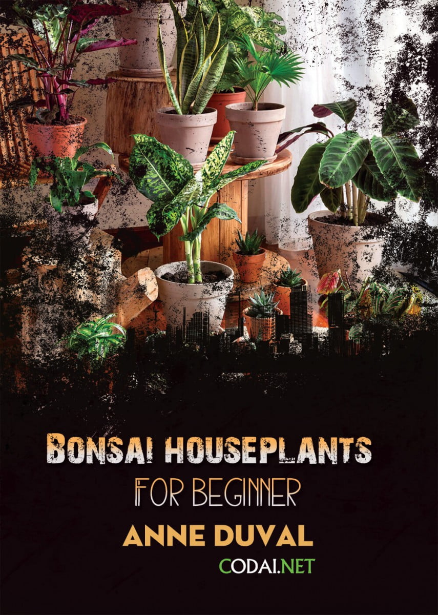 [Ebook Việt Hoá] BONSAI and HOUSEPLANTS for Beginners  – Anne Duval – The Benefits of Houseplants (Lợi ích của cây cảnh trong nhà)