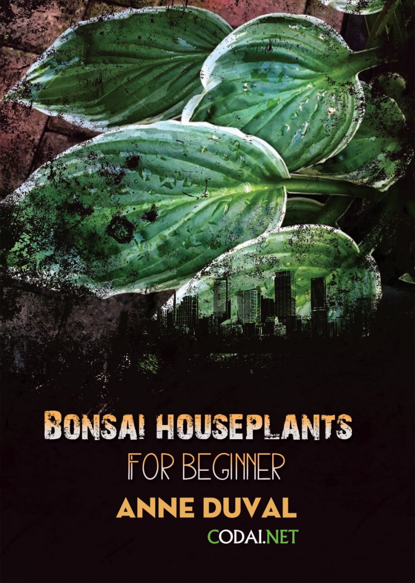 [Ebook Việt Hoá] BONSAI and HOUSEPLANTS for Beginners  – Anne Duval – Choosing Your Plant(s) (Chọn cây cảnh trong nhà)