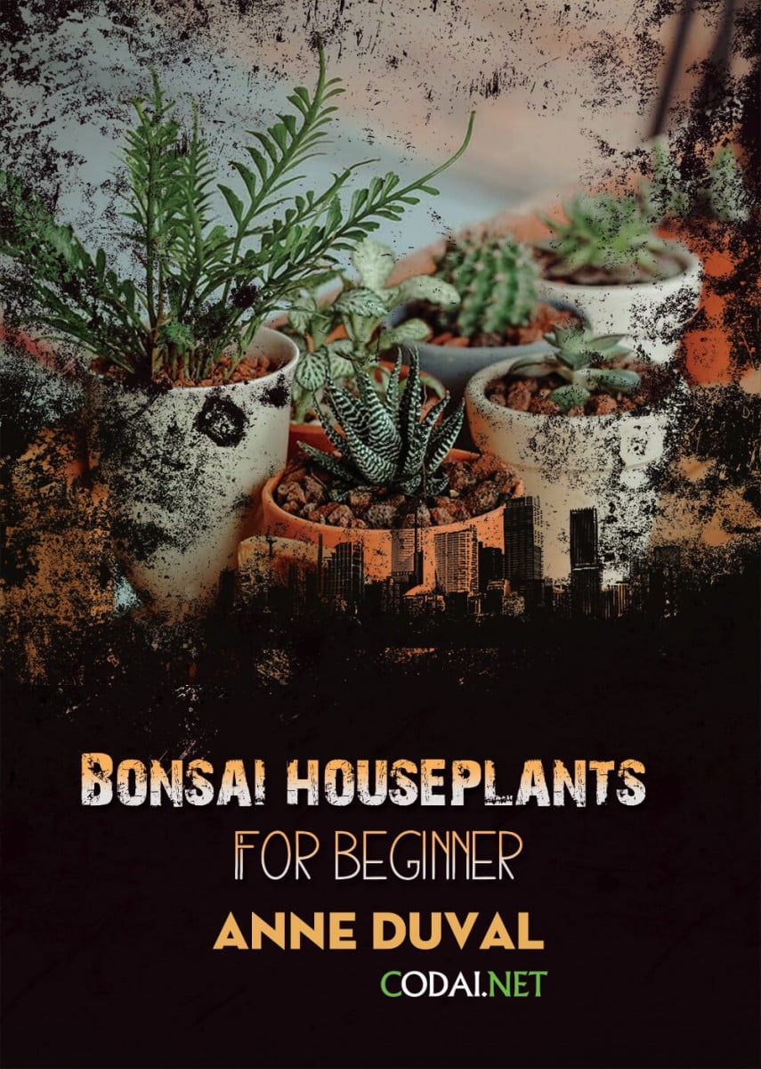 [Ebook Việt Hoá] BONSAI and HOUSEPLANTS for Beginners  – Anne Duval – Best Houseplants for Beginners (Cây cảnh trong nhà tốt nhất cho người mới)