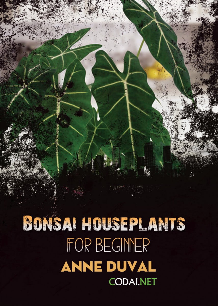 [Ebook Việt Hoá] BONSAI and HOUSEPLANTS for Beginners  – Anne Duval – The Basics of Houseplant Care (Chăm sóc cây trong nhà căn bản)