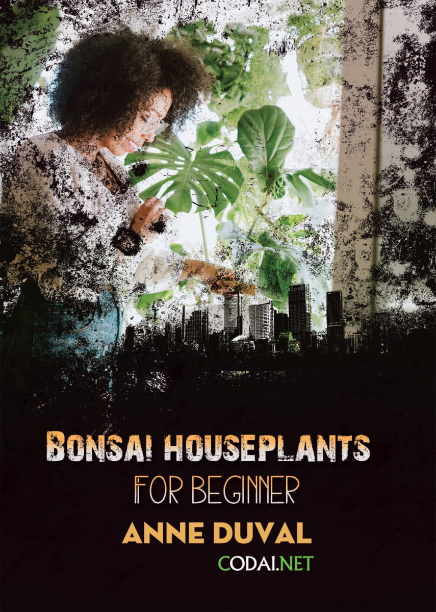 [Ebook Việt Hoá] BONSAI and HOUSEPLANTS for Beginners  – Anne Duval – Watering Your Plants (Tưới nước đối với cây cảnh)