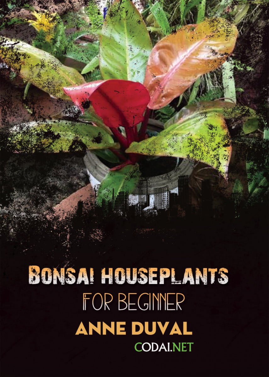 [Ebook Việt Hoá] BONSAI and HOUSEPLANTS for Beginners  – Anne Duval – What Plants Don’t Like (Cây cảnh không thích gì)