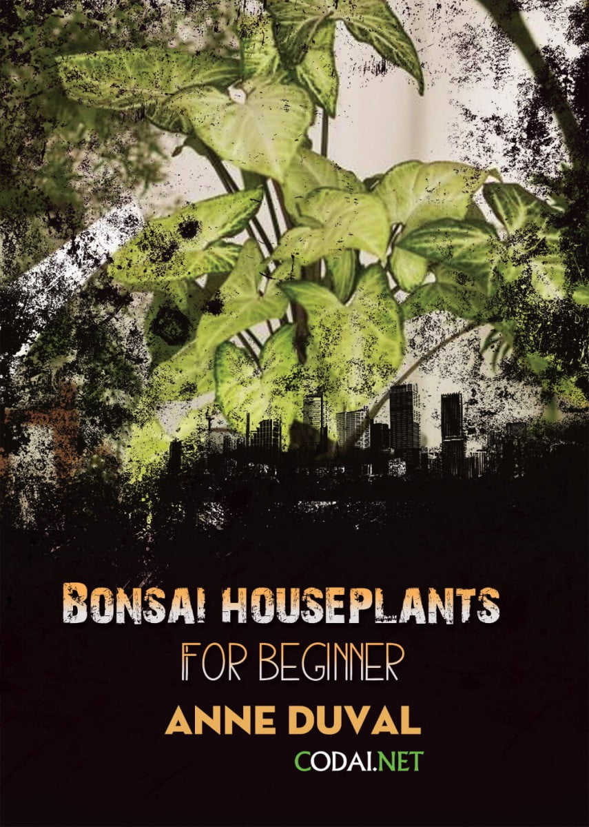 [Ebook Việt Hoá] BONSAI and HOUSEPLANTS for Beginners  – Anne Duval – Easiest to Grow Houseplants (Cách dễ nhất để trồng cây cảnh trong nhà)