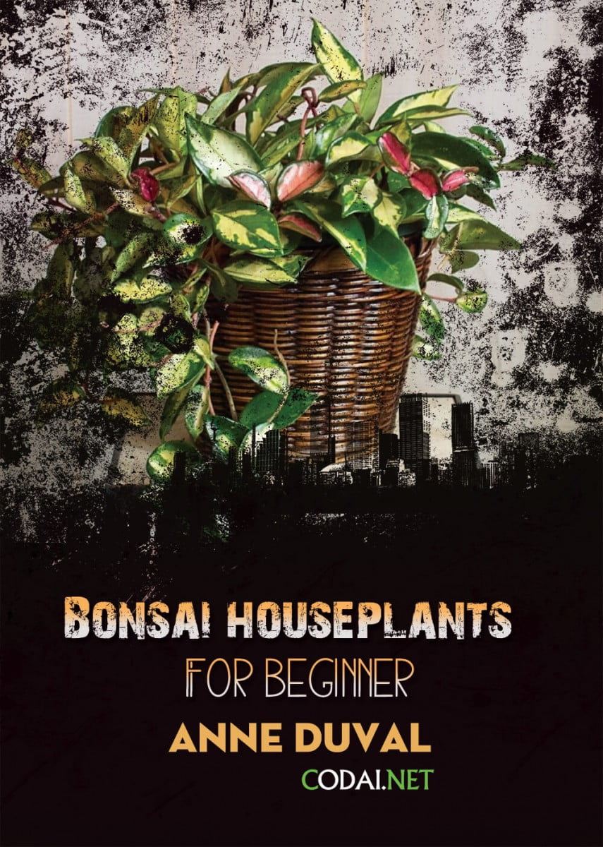 [Ebook Việt Hoá] BONSAI and HOUSEPLANTS for Beginners  – Anne Duval – Additional Plants for Your Home (Cây bổ sung cho nhà của bạn)