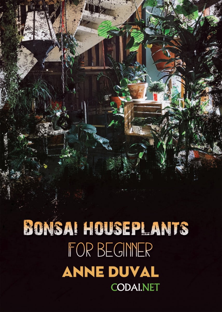 [Ebook Việt Hoá] BONSAI and HOUSEPLANTS for Beginners  – Anne Duval – Poisonous Plants (Cây cảnh có độc)