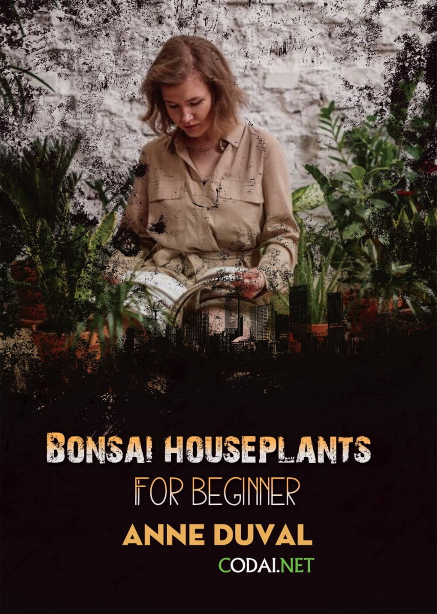 [Ebook Việt Hoá] BONSAI and HOUSEPLANTS for Beginners  – Anne Duval – Care and Maintenance of Your Plants (Chăm sóc và bảo dưỡng cây cảnh)