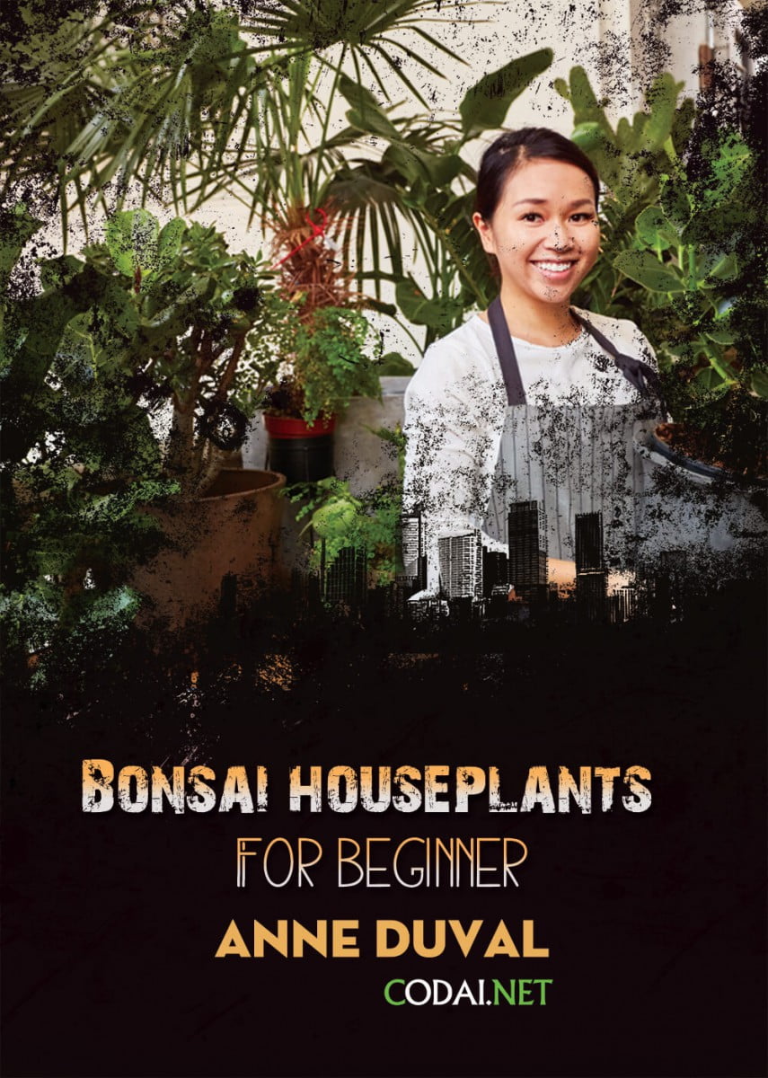 [Ebook Việt Hoá] BONSAI and HOUSEPLANTS for Beginners  – Anne Duval – Conclusion (Kết luận) 