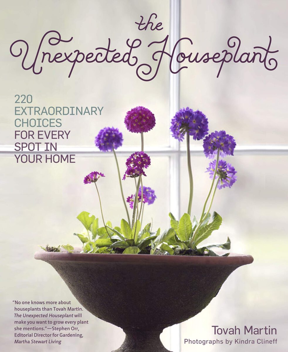 [Ebook Việt Hoá] The Unexpected Houseplant: 220 Extraordinary Choices for Every Spot in Your Home