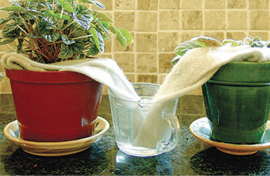 Use wicks to water plants.