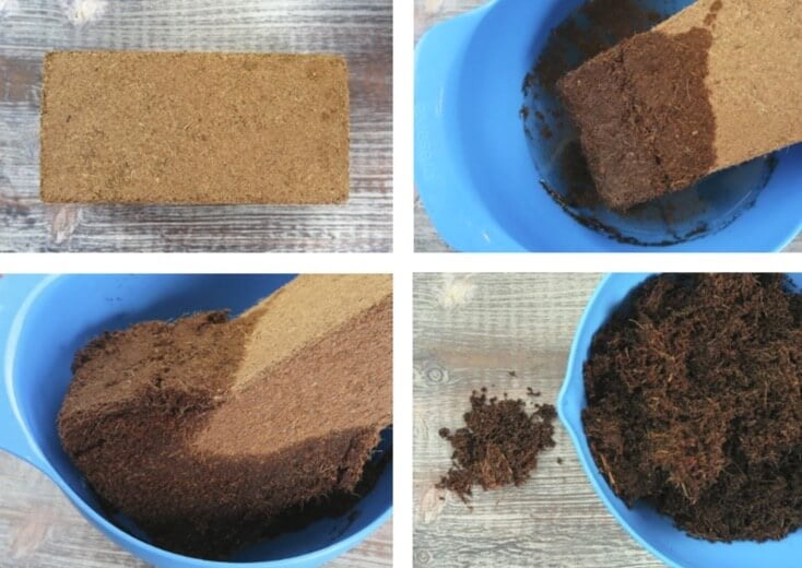 Coir typically comes in a compressed block that you soak in water to rehydrate. After the coir soaks up water, it becomes light and fluffy in texture. 