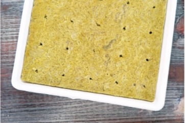 A rockwool sheet in a watertight tray. Rockwool sheets often come with preformed holes or blocks for seeds and cuttings. 
