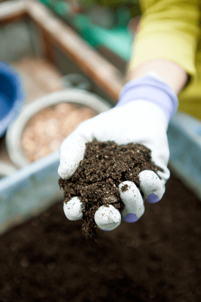 Soil that is best suited for growing plants will crumble after you squeeze it in your fist.