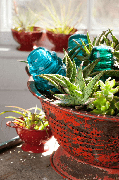 Adding some vintage glass insulators to your aloe planter raises the level of savvy several degrees.