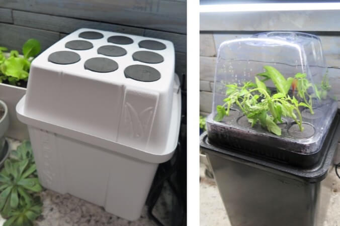 Small countertop propagators with nine to twelve plugs are an easy and inexpensive option for automated propagation. Look for units with humidity domes. 