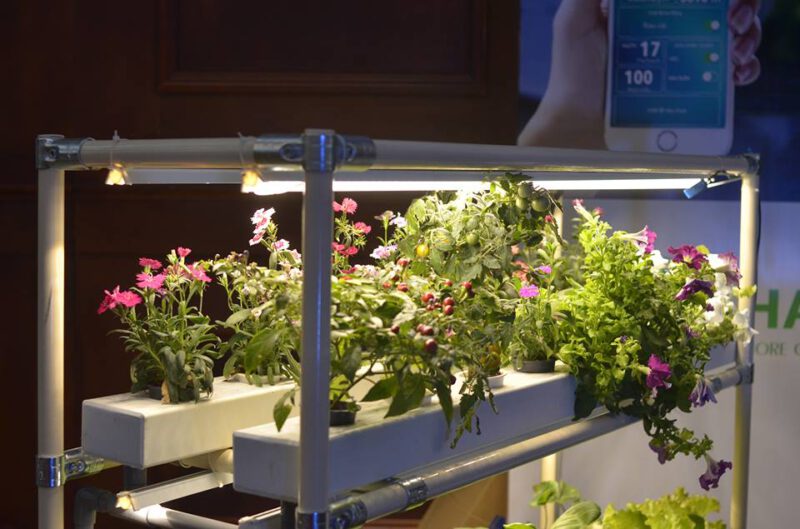 Cường Độ Ánh Sáng – Những con số KHÔNG nói dối