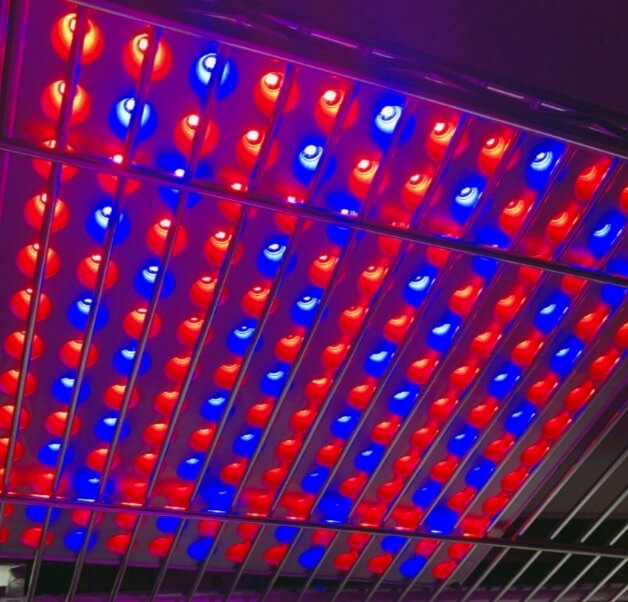 This 12- by 12-inch, flat, dual-band (red and blue), integrated LED panel is perfect for starting small groups of seeds or cuttings that fit within one square foot of space. It can be hung at different distances from your plants to create higher or lower intensity of lighting. Take note: you cannot replace burnt out diodes in these types of integrated LED fixtures, but they should last for a long time. 