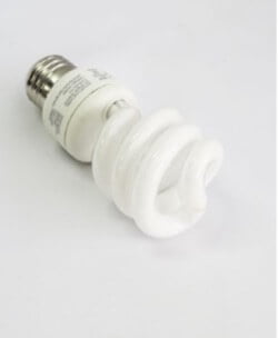 This small CFL lamp fits in standard home light fixtures and can be used as a spotlight for individual cuttings or houseplants. 