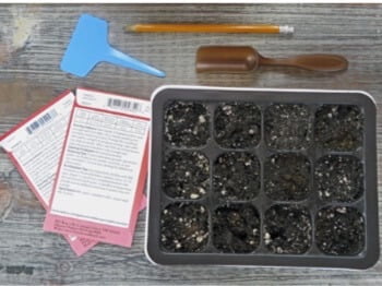 Before you sow seeds, be sure to refer to the seed packet for information on seed prep, timing, planting depth, spacing in the garden, and days-to-harvest. 