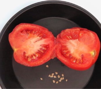 Once tomatoes are large enough to develop mature seed, you can separate them from the fruit flesh. 