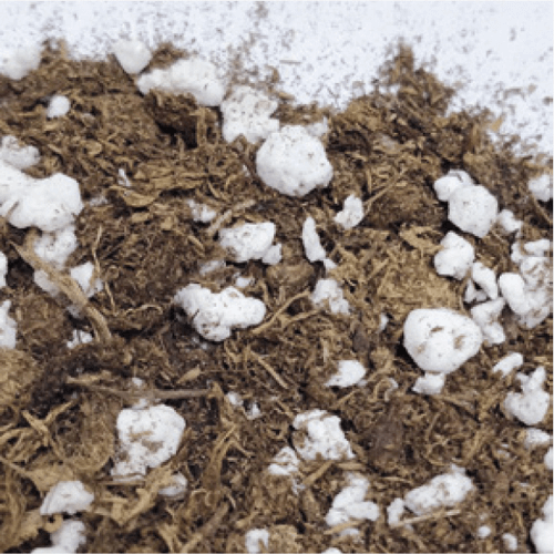 A close look at a mix of peat moss and perlite—a common potting mix. Peat moss has excellent moisture retention, while perlite imparts drainage and aeration.