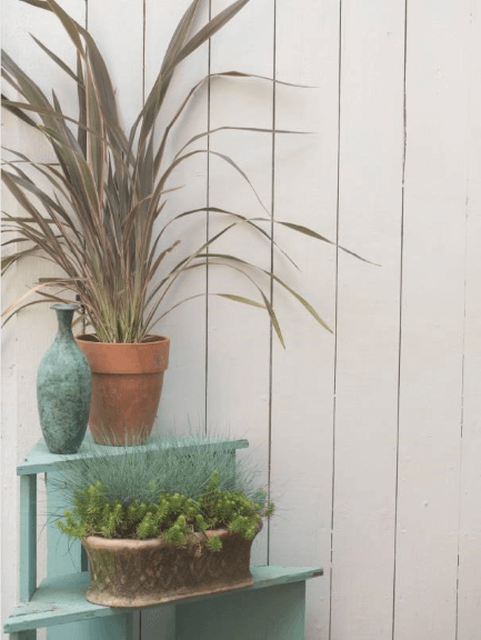 Phormium, the grass lookalike, can be easily wintered indoors. Equally low-maintenance is Festuca glauca ‘Boulder Blue’, partnered in a window box with Sedum ‘Angelina’.