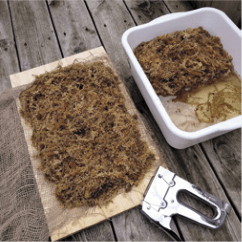 For this mounting, I created a bedding of sphagnum moss wrapped in burlap, fastened with staples.