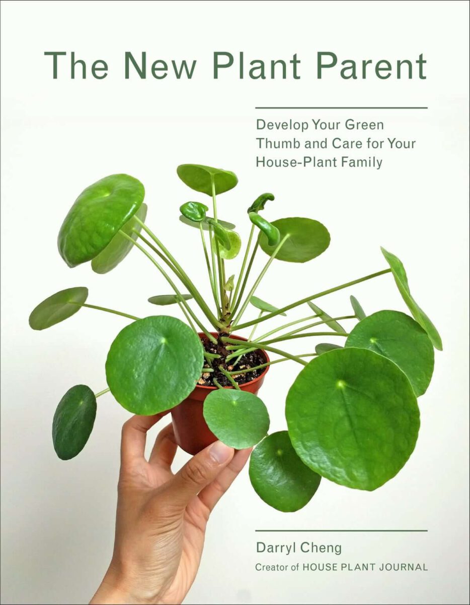 [Ebook Việt Hoá] New Plant Parent – Develop Your Green Thumb and Care for Your House-Plant Family – Darryl Cheng