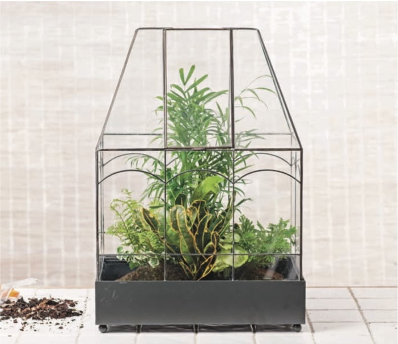 Classic terrariums use glass panel “Wardian”-style enclosures and are planted with a variety of plants to mimic the look of full-size conservatories. This terrarium features creeping fig, Neanthe bella palm, croton, ruffle fern, and club moss.