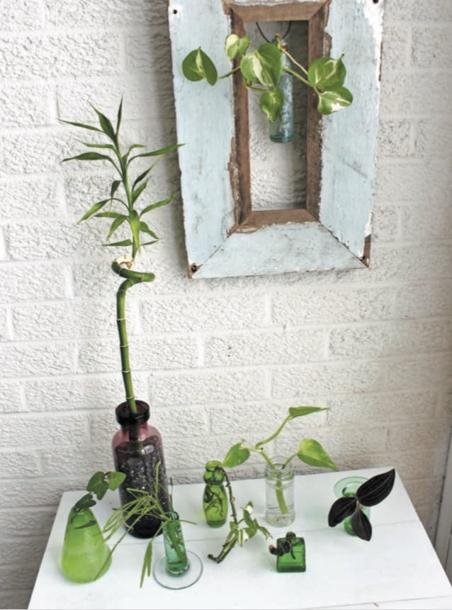 Tiny accessories added to a houseplant arrangement featuring small variety plants creates a quaint miniature garden.