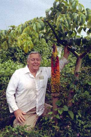 John Banta bên cạnh một cây Amorphophallus paeoniifolius tại Thailand.
