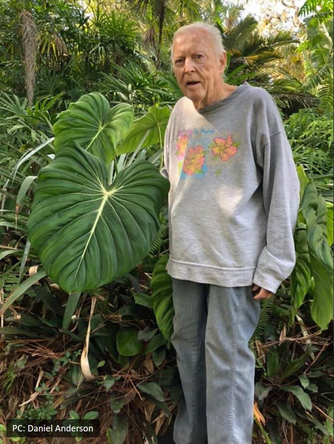 Ảnh chụp John Banta trong khu vườn của ông (vườn Alva) bên cạnh một trong những cây do chính ông lai tạo ra: Philodendron "Dean McDowell" vào năm 2020