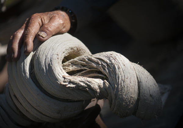 Bàn tay chăm chỉ của bậc thầy cây cảnh Harry Hirao, 96 tuổi, ở Huntington Beach đặt trên thân cây Bonsai California Juniper 700 năm tuổi thu thập từ sa mạc Mojave.
