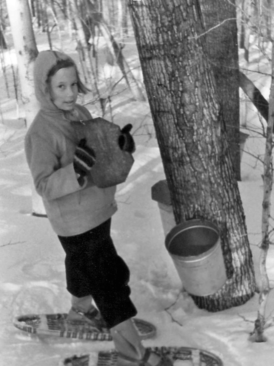 Ann khi còn nhỏ, đang thu thập nhựa cây từ cây Phong Đường (Sugar Maple, Acer saccharum)
