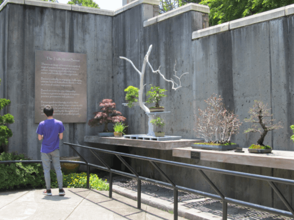 Quang cảnh Vườn Triển lãm Bonsai ở Vườn ươm Bắc Carolina (Bonsai Exhibition Garden in the North Carolina Arboretum). Tất cả ảnh do A. Joura / NC Arboretum cung cấp.