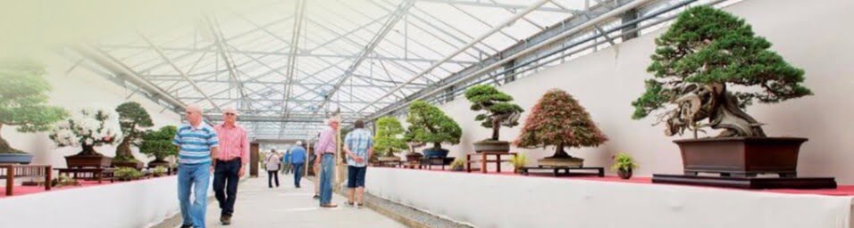 The main hall leading you along the large bonsai display and, at the end, were the tokonomas