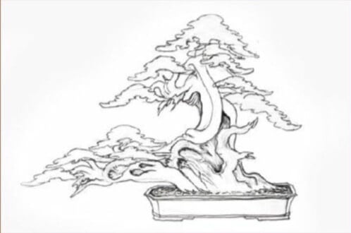 A sketch drawn by Kevin, uses the left part of the trunk as the major branch. It's striking to see how the sketch matches the final result below