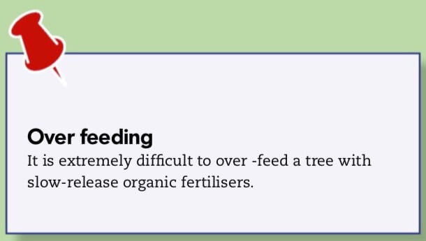 Over feeding It is extremely difficult to over -feed a tree with slow-release organic fertilisers.