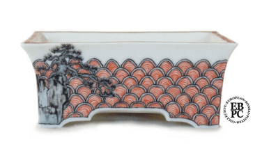 Một tác phẩm chậu cây Bonsai của nghệ nhân Martin Englert 