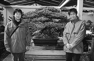 Hai anh em Yamaki chụp cùng cây Bonsai của gia đình.