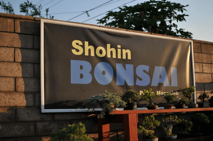 Một tấm bạt được căng và treo lên với dòng chữ Shohin Bonsai
