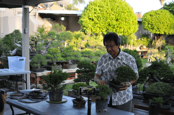 Peter trình bày về sự phát triển của cây Bonsai