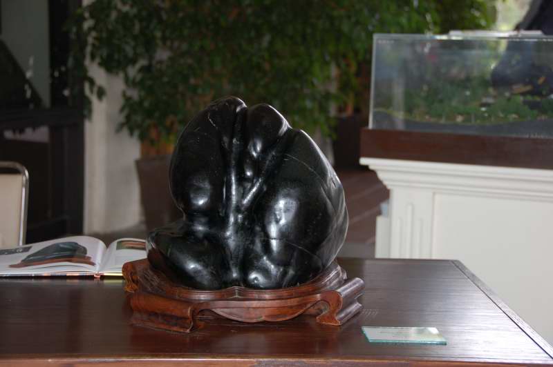 Viên đá được trưng bày tại Hội nghị GSBF này có màu đen lạnh và được thu thập từ sông Kern (Kern River) ở Bakersfield.