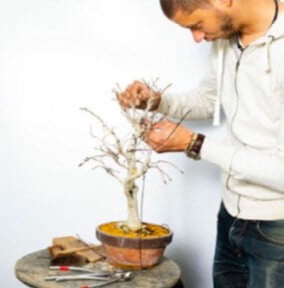 A guy wire is slipped between a coil of wire to pull the branch slightly downward. The guy wire is fixed to the pot