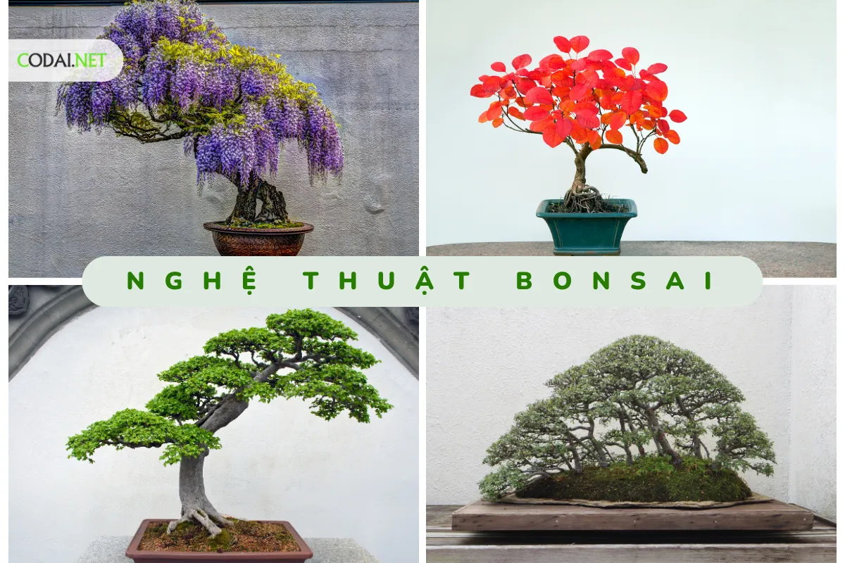 cac yeu to tham my tao nen nghe thuat bonsai (1)
