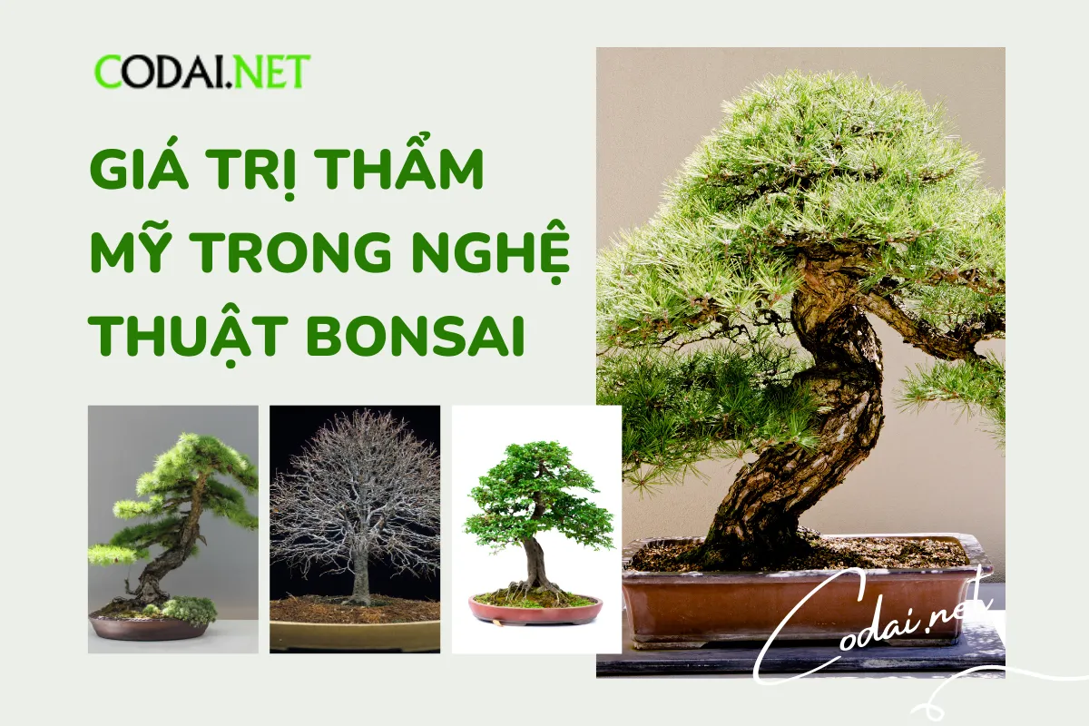 Nghệ thuật bonsai là một hình thức nghệ thuật trồng và tạo dáng cây trên chậu