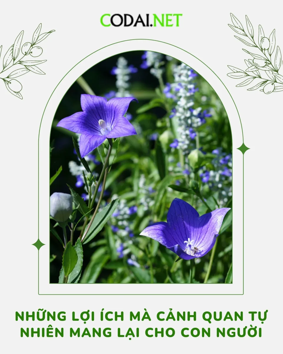 Những lợi ích mà cảnh quan tự nhiên mang lại cho con người